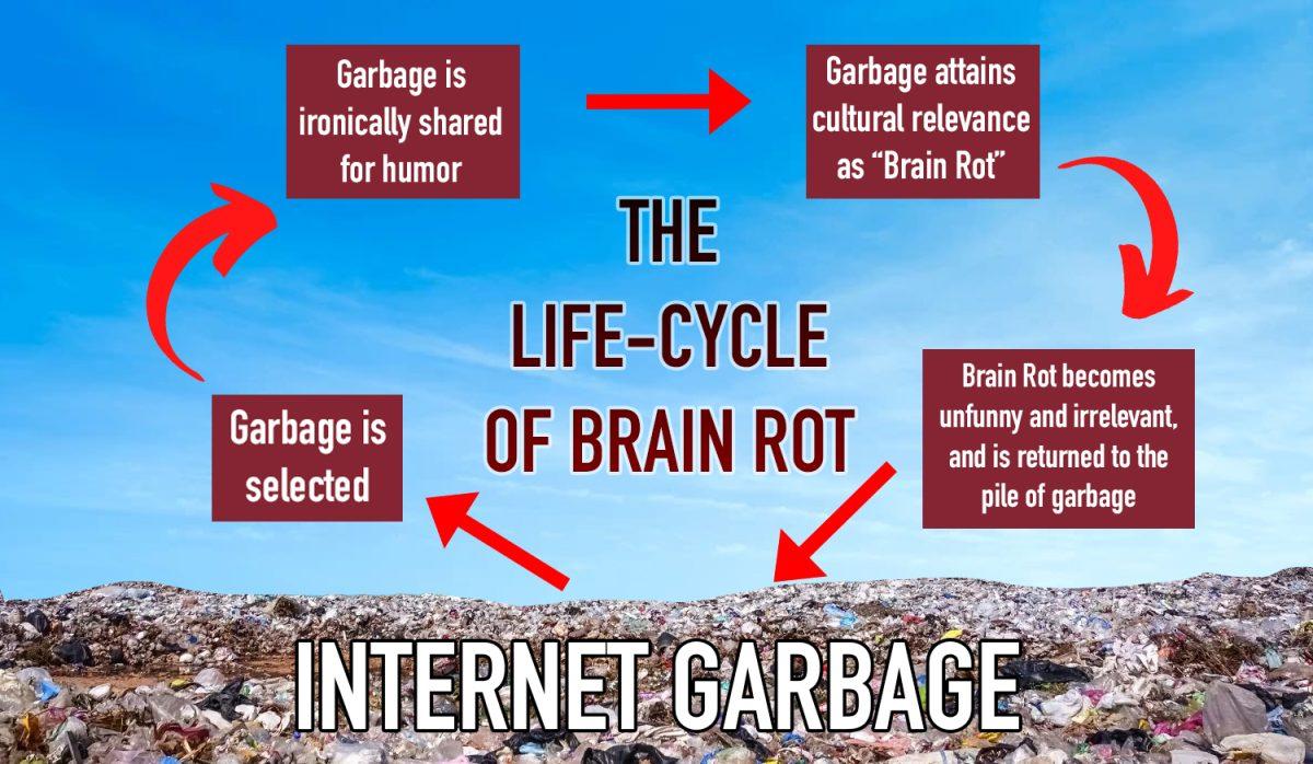 Brain Rot is flushing our generation down the Skibidi Toilet