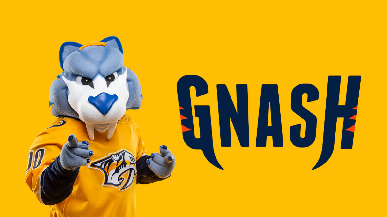Get to know the spirits behind Nashville's mascots