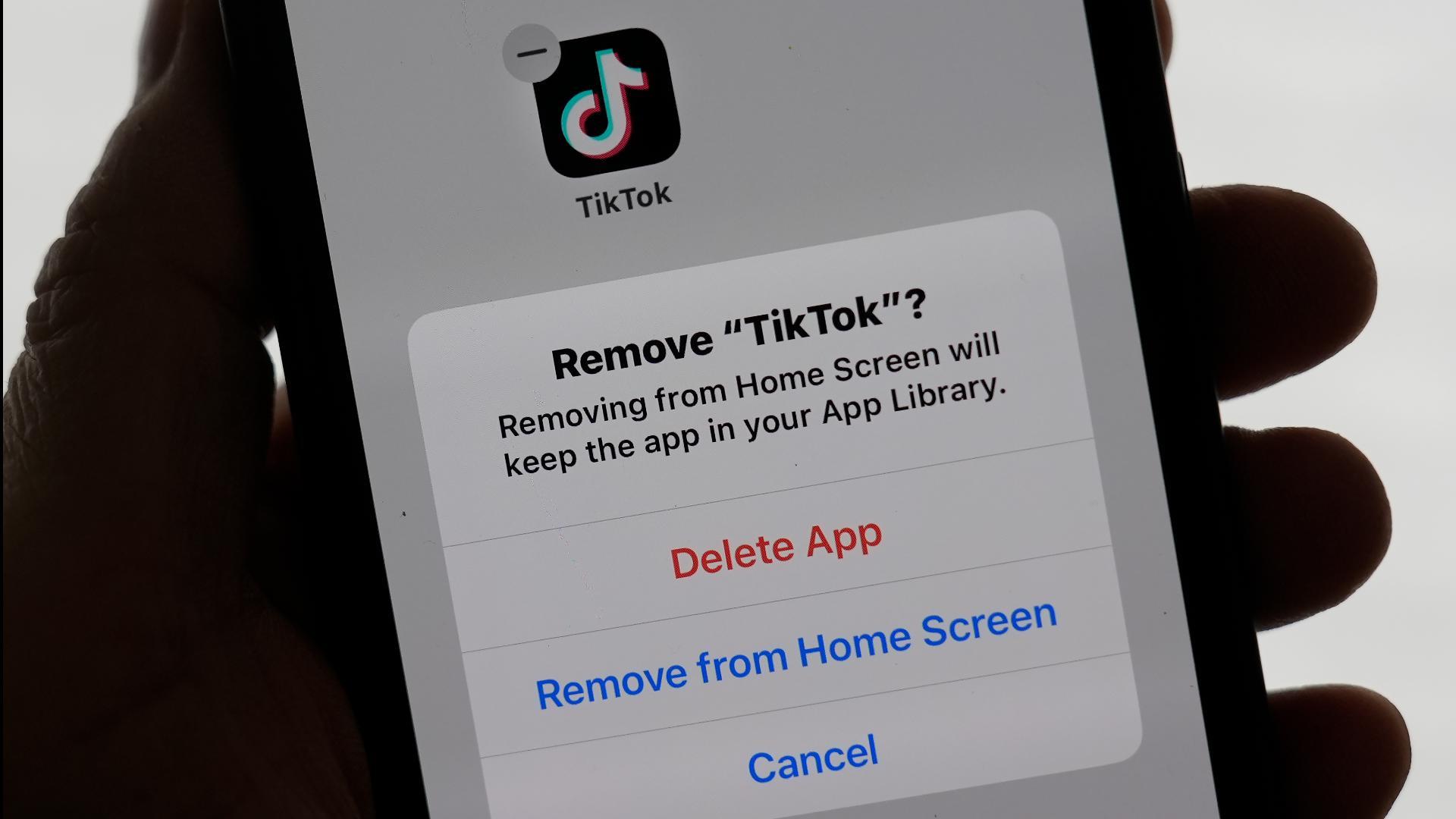During the 12 hours that TikTok was banned, Americans could not access the app on any digital service.