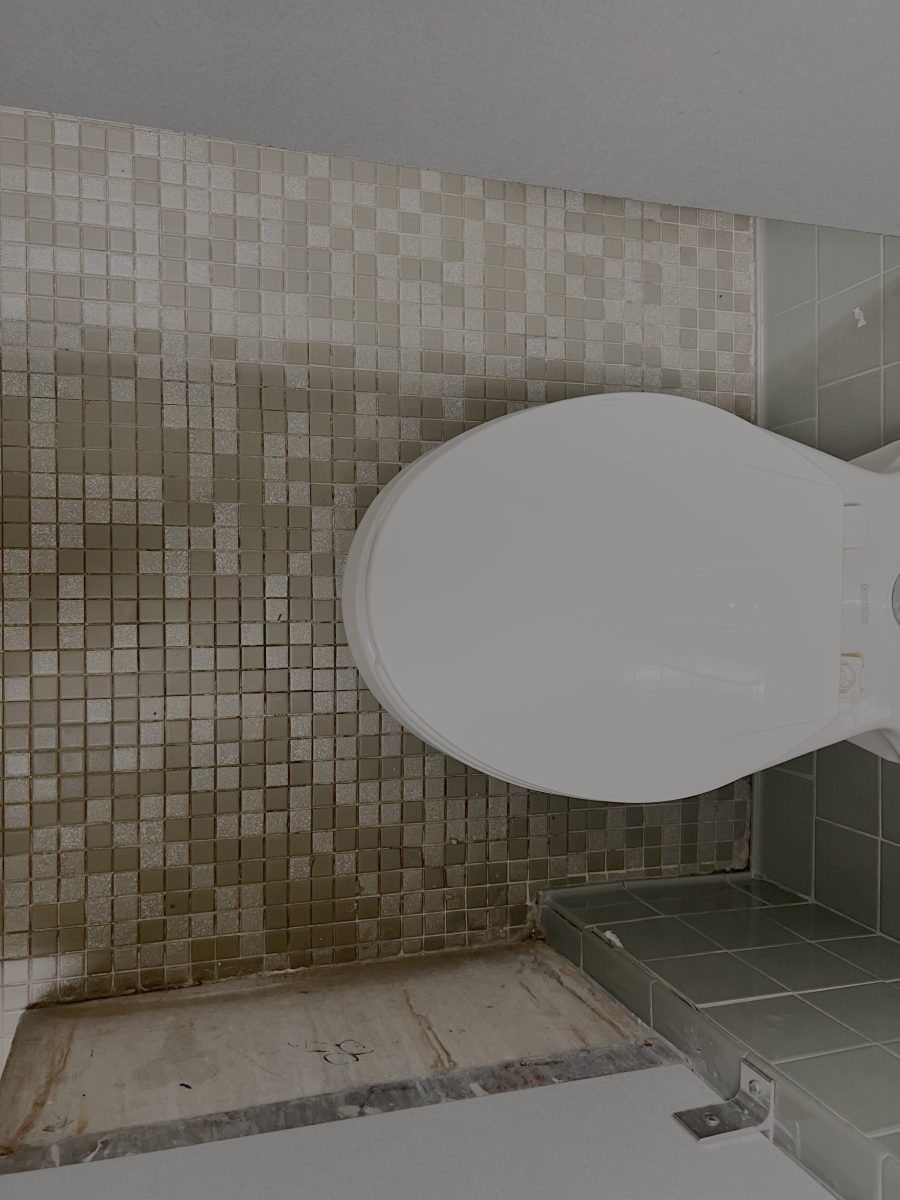 Pictured are the mysterious squares tiling the 3rd floor bathroom. (via the Peabody Press)