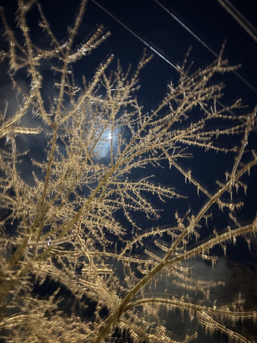 AliceSnow