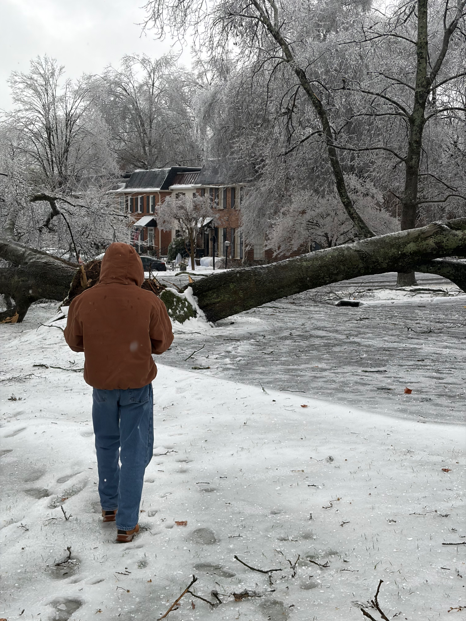Snow Days: January 26
