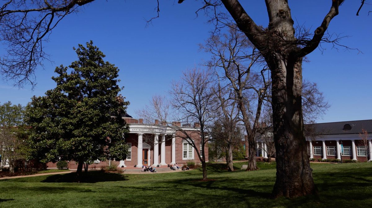 Looking out over the Ann Scott Carrell library on a sunny day. (via Madi Whiteley)