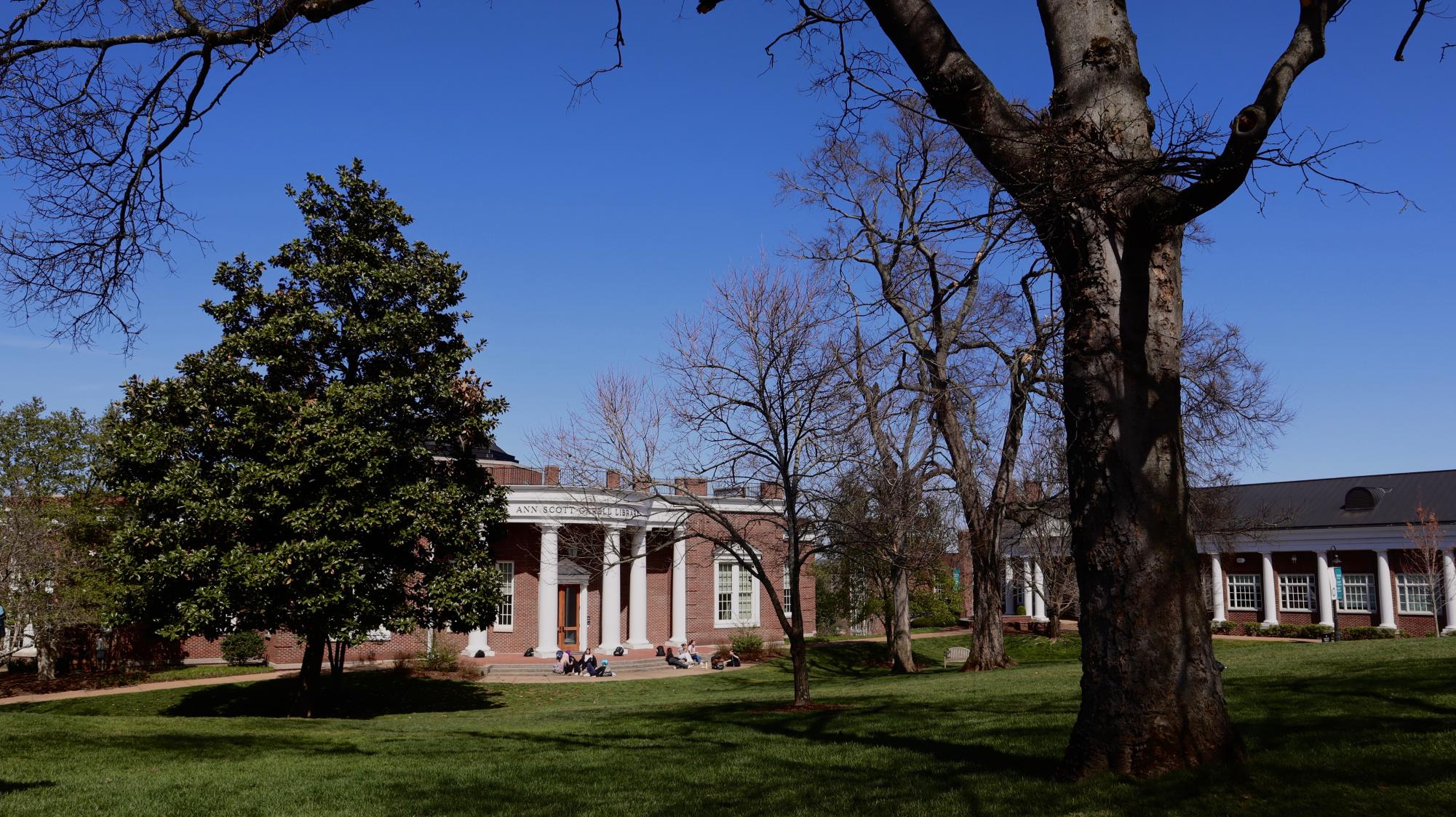 Looking out over the Ann Scott Carrell library on a sunny day. (via Madi Whiteley)